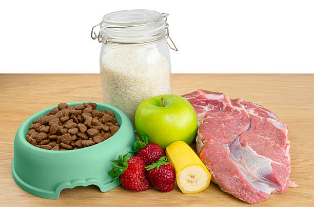 Human Foods Pets Can Safely Eat