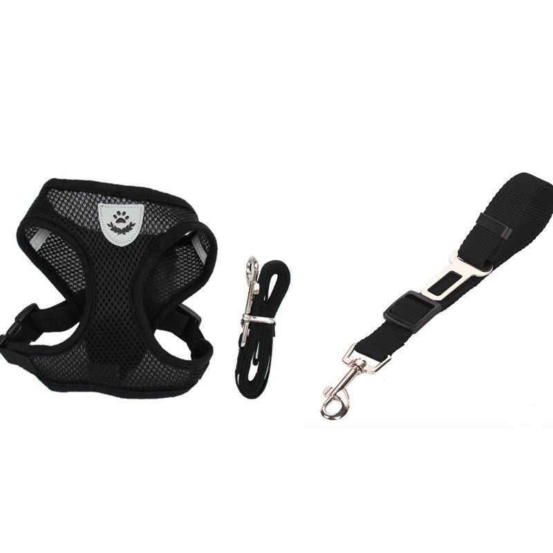 Pet Car Seat Belt Pet Leash - Combo