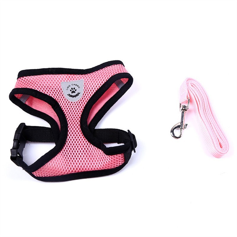Pet Car Seat Belt Pet Leash - Combo