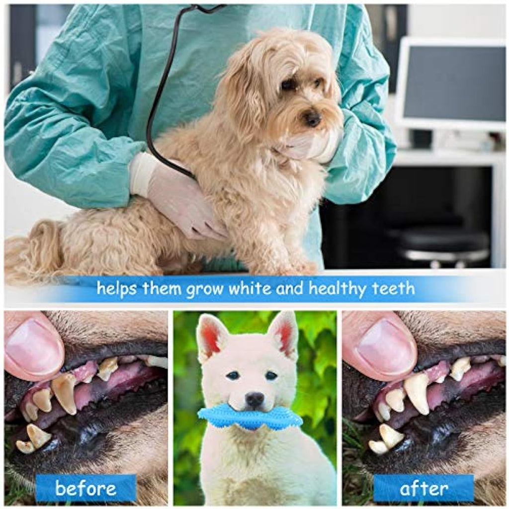 Puppy Chew Toys For Teething Puppies
