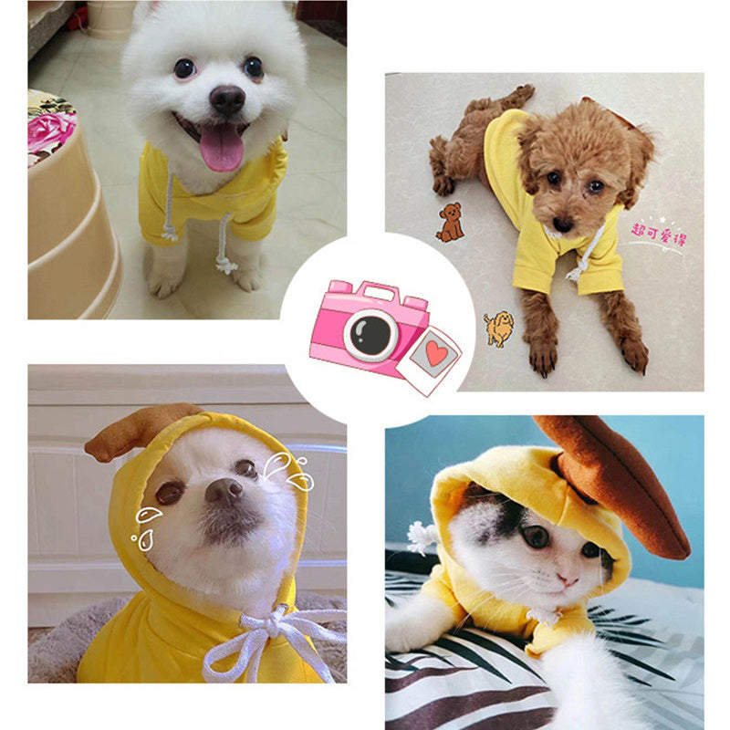 Cute Fruit Hoodie for Small Dogs & Cats – Winter Warm Fleece Outfit