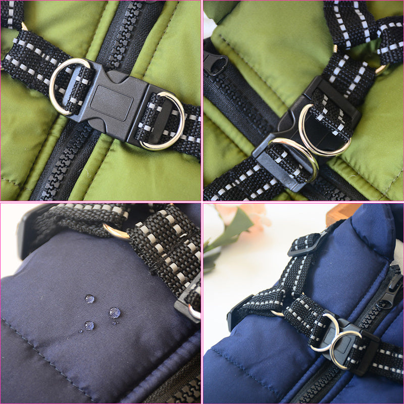 Dog Coat with Harness