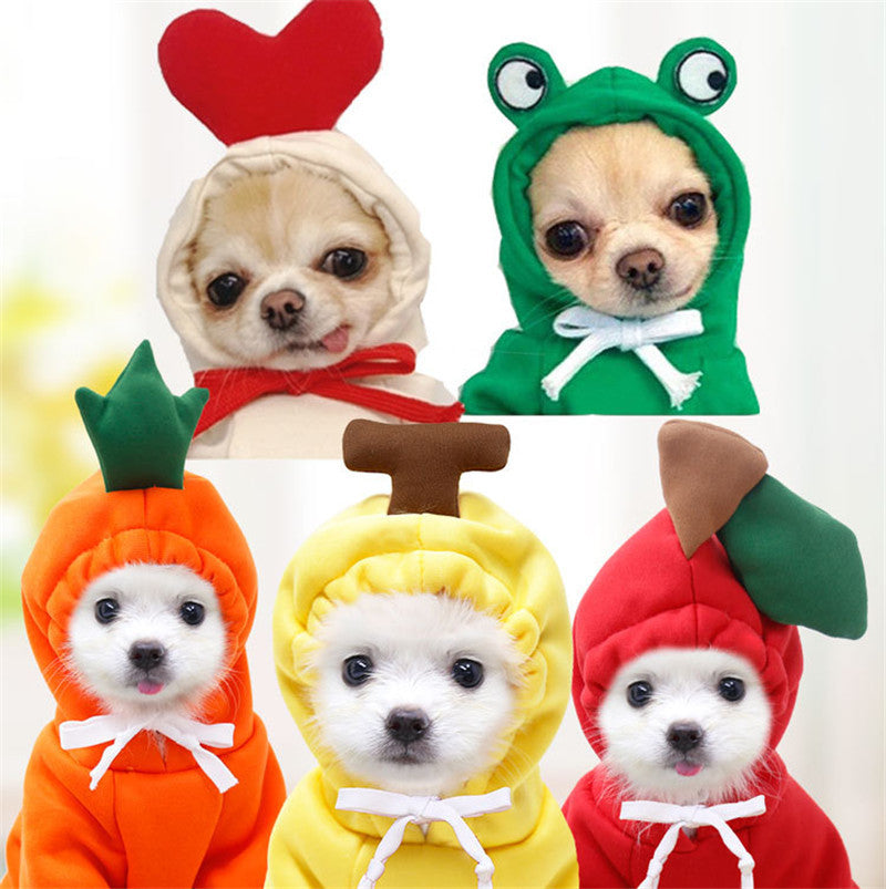 Cute Fruit Hoodie for Small Dogs & Cats – Winter Warm Fleece Outfit